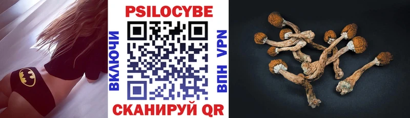 Галлюциногенные грибы Cubensis  mega ONION  Краснодар 