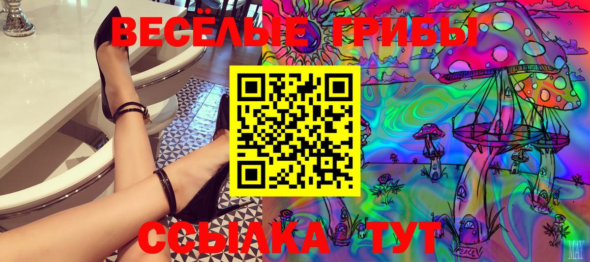 Псилоцибиновые грибы Psilocybine cubensis Краснодар