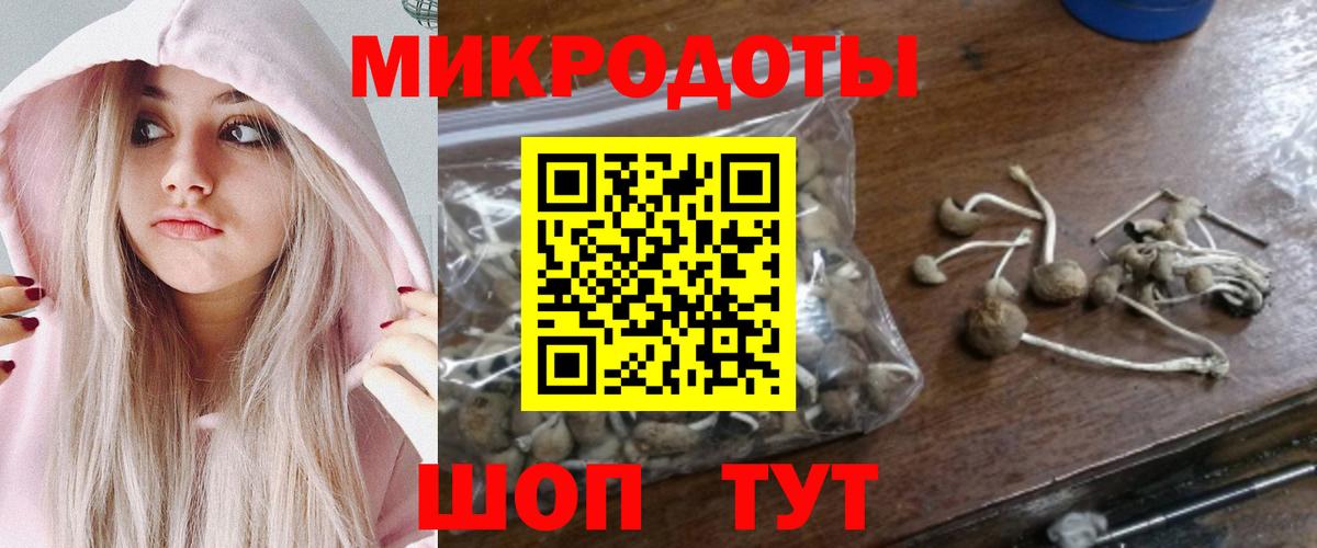 Краснодар  что такое   Вход с VPN  Галлюциногенные грибы прущие грибы 